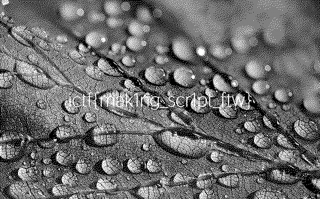 Revenge of XOR challenge output